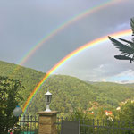 Regenbogen